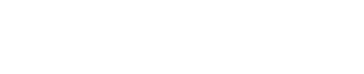 서브비주얼 텍스트